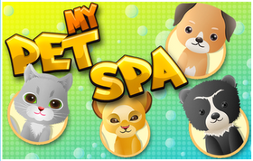 Our spa specialises in making-up for pets,  you can learn spa for your pet.